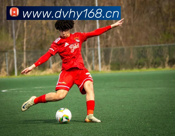 kaiyun官网登录平台生态图