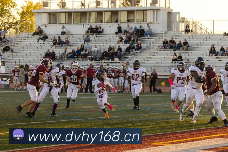 数据防护可视化